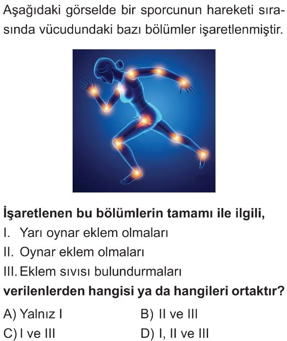 5. Sınıf Destek ve Hareket Sisteminin Yapıları (Bileşenleri) Test 5 Soru 1